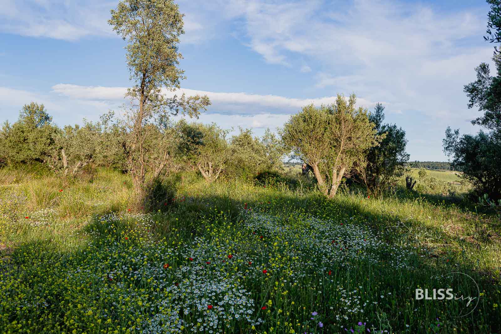Wetlands und Birdwatching - Eco-Tourismus in Griechenland - Sani - Griechenland - Wetlands Naturpark