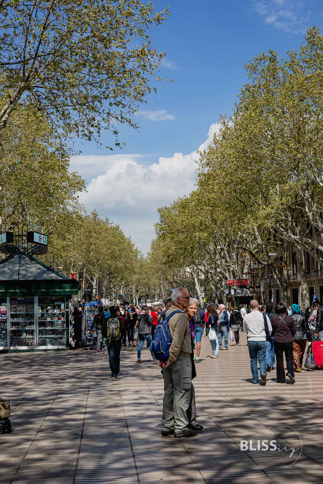 Las Ramblas Barcelona - La Rambla Einkaufsstrasse in Barcelona - Top 10 Sehenswürdigkeiten Barcelona