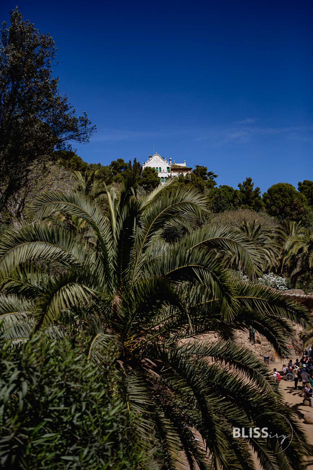 Gaudi Park in Barcelona - Park Güell - Sehenswürdigkeiten Barcelona - Gaudi Park Barcelona - Parc Guell - Sehenswürdigkeiten und Reisetipps - Eindrücke und Aussicht