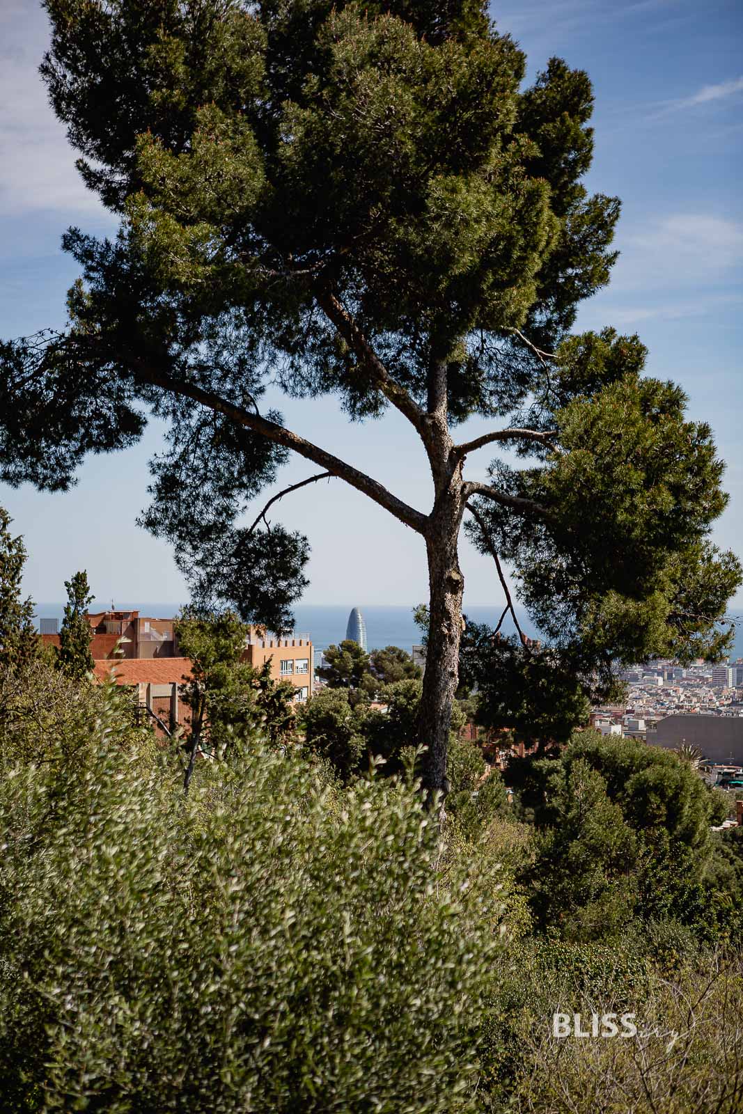 Gaudi Park in Barcelona - Park Güell - Sehenswürdigkeiten Barcelona - Gaudi Park Barcelona - Parc Guell - Sehenswürdigkeiten und Reisetipps - Eindrücke und Aussicht