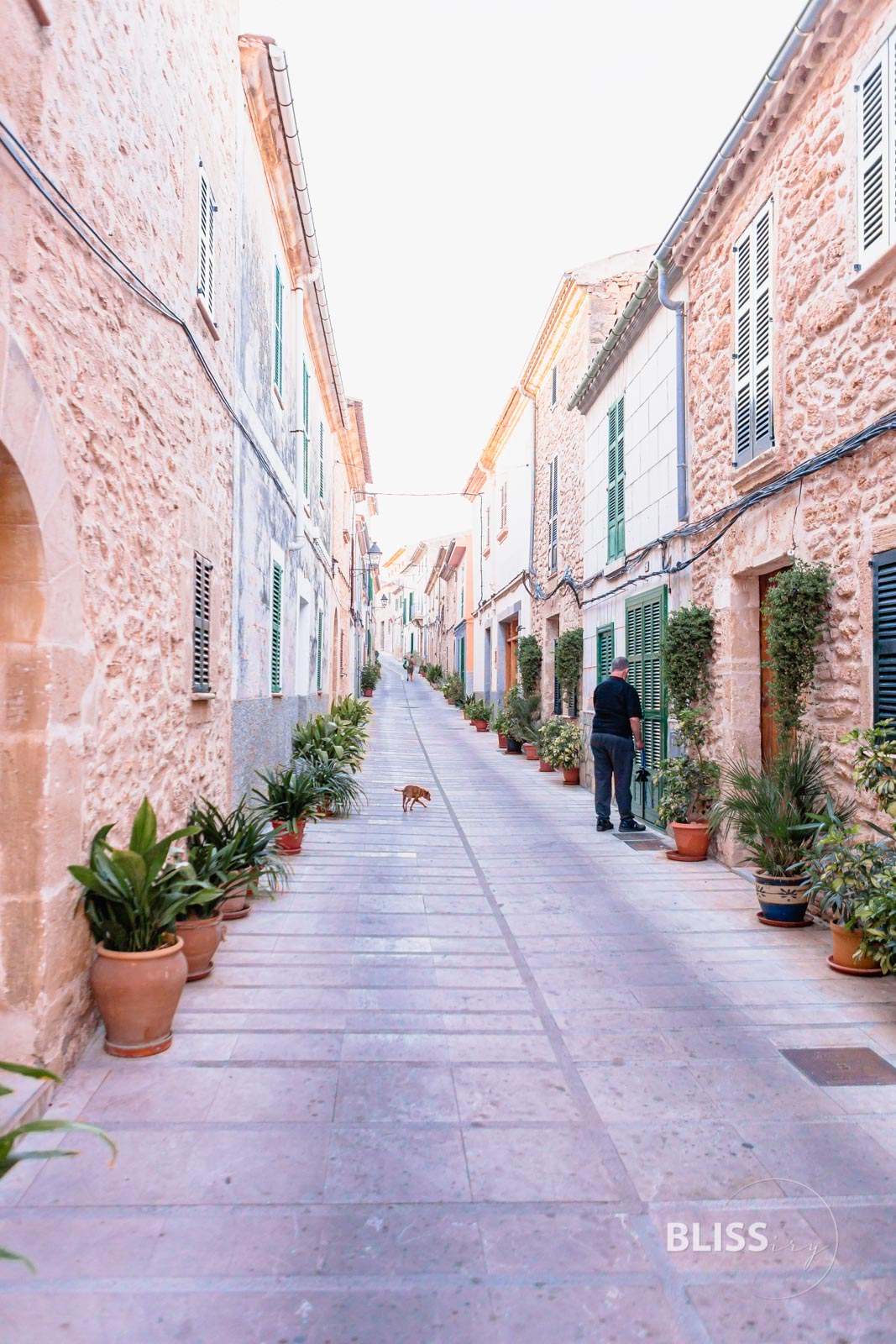 Alcudia auf Mallorca - historische Altstadt und modernes Leben - kleine Gassen in Spanien